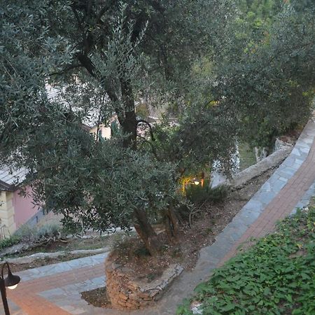 Villa Olivari - Apt Il Melograno 卡莫利 外观 照片