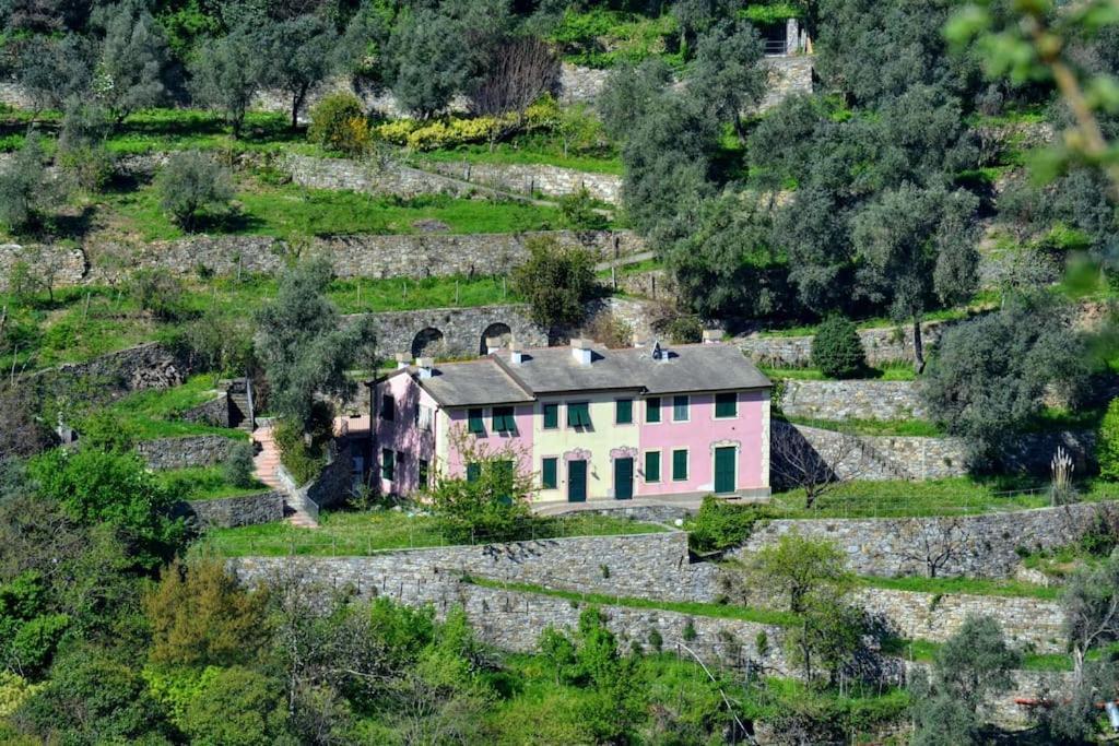 Villa Olivari - Apt Il Melograno 卡莫利 外观 照片