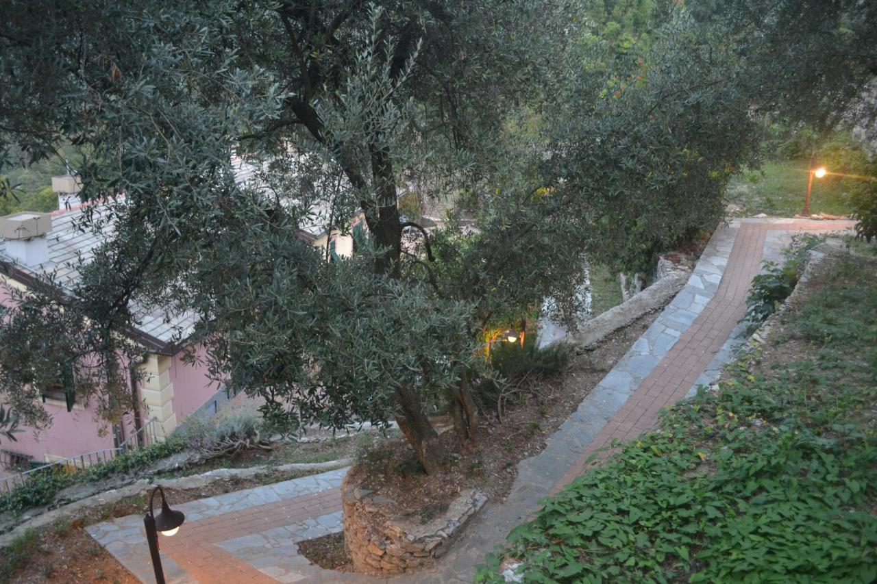 Villa Olivari - Apt Il Melograno 卡莫利 外观 照片