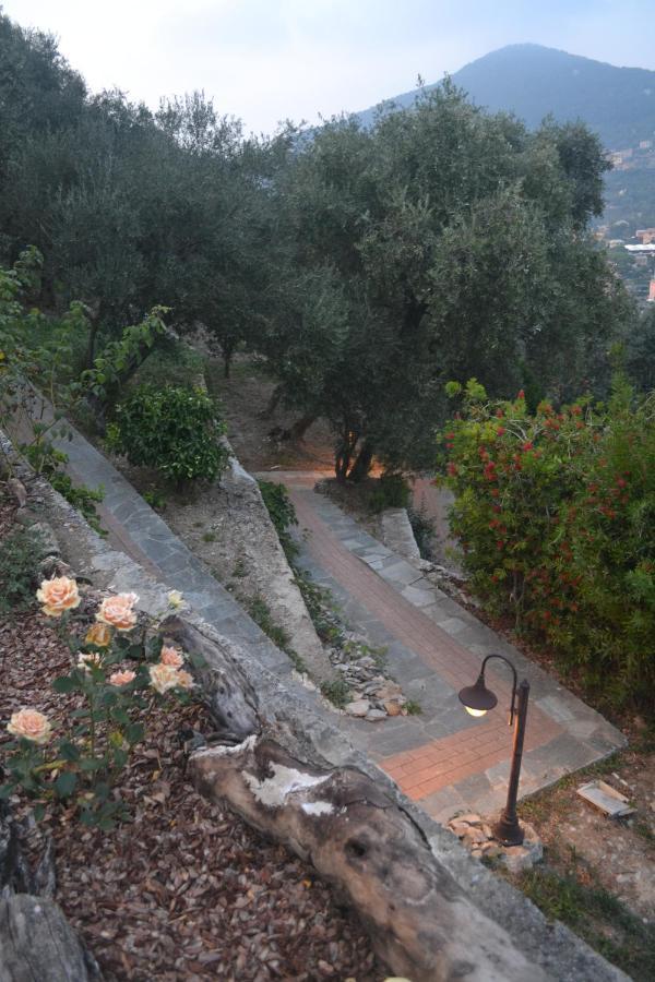 Villa Olivari - Apt Il Melograno 卡莫利 外观 照片